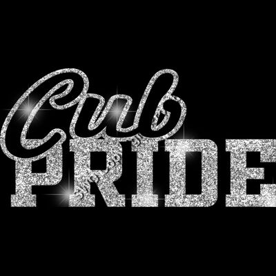 GLT59 SILVER GLITTER Thumbnail